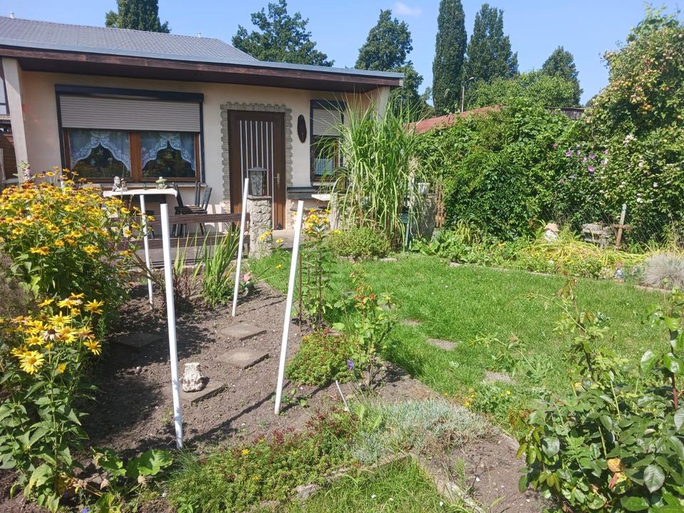 Thumbnail-Gepflegter Kleingarten abzugeben