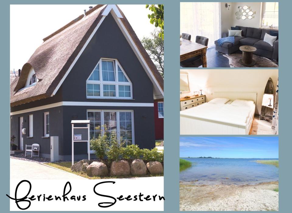 Thumbnail-TOP Last-Minute-Angebot: Urlaub mit Hund im Ferienhaus auf Rügen