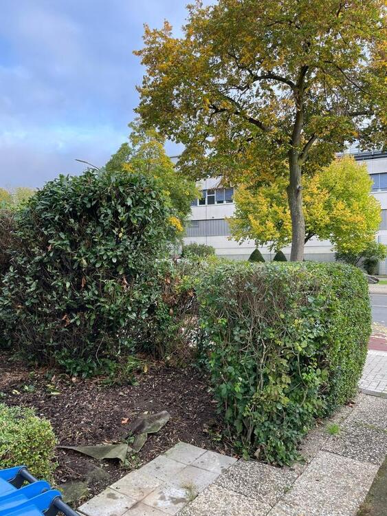 Thumbnail-Wunderschöne Dachgeschoßwohnung in Düsseldorf-Hassels
