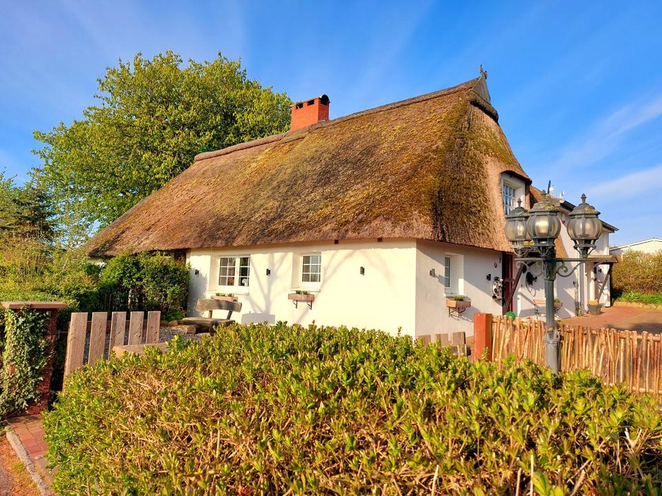 Thumbnail-Traumurlaub in der Ostsee-Reetkate am Meer, Ferienhaus mit Pool an schönsten Sandstränden, in Alleinlage, mit Hunden, bis 8 Pers, nahe Fehmarn Grömitz Heiligenhafen Lübecker Bucht Dahme Großenbrode