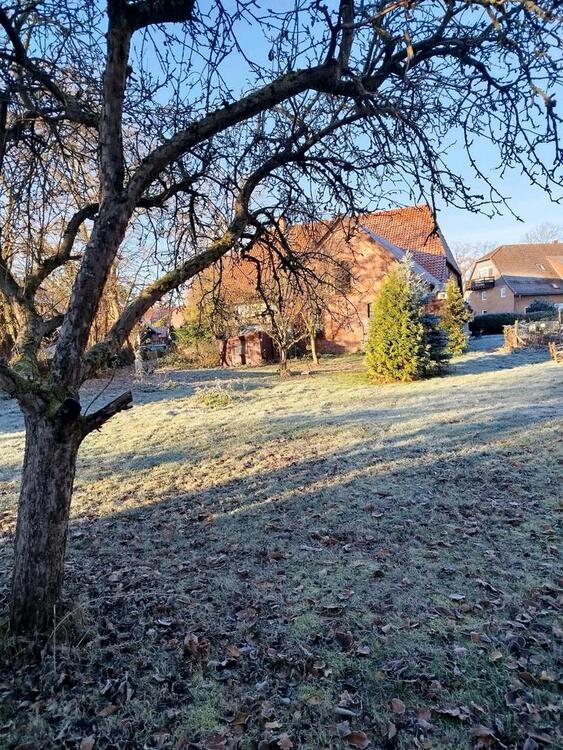 Thumbnail-Altes Bauernhaus im denkmalgeschützten Ortskern von Edemissen