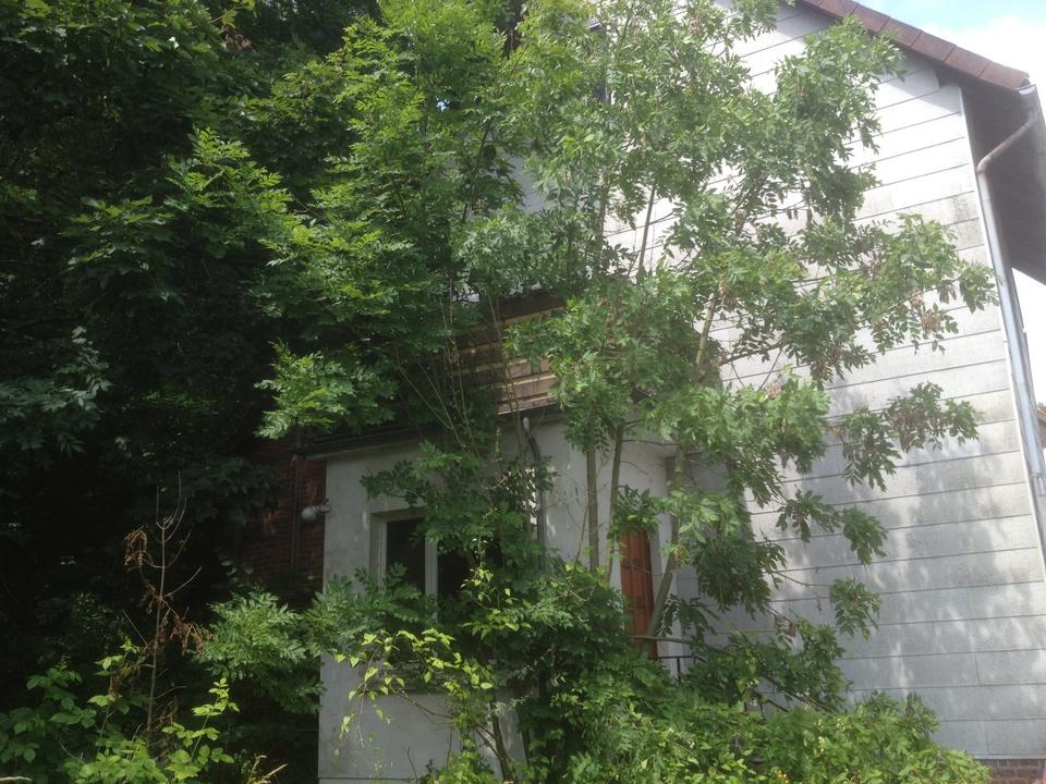 Thumbnail-Sanierungsbedürftige Haus in Einbeck - Salzderhelden