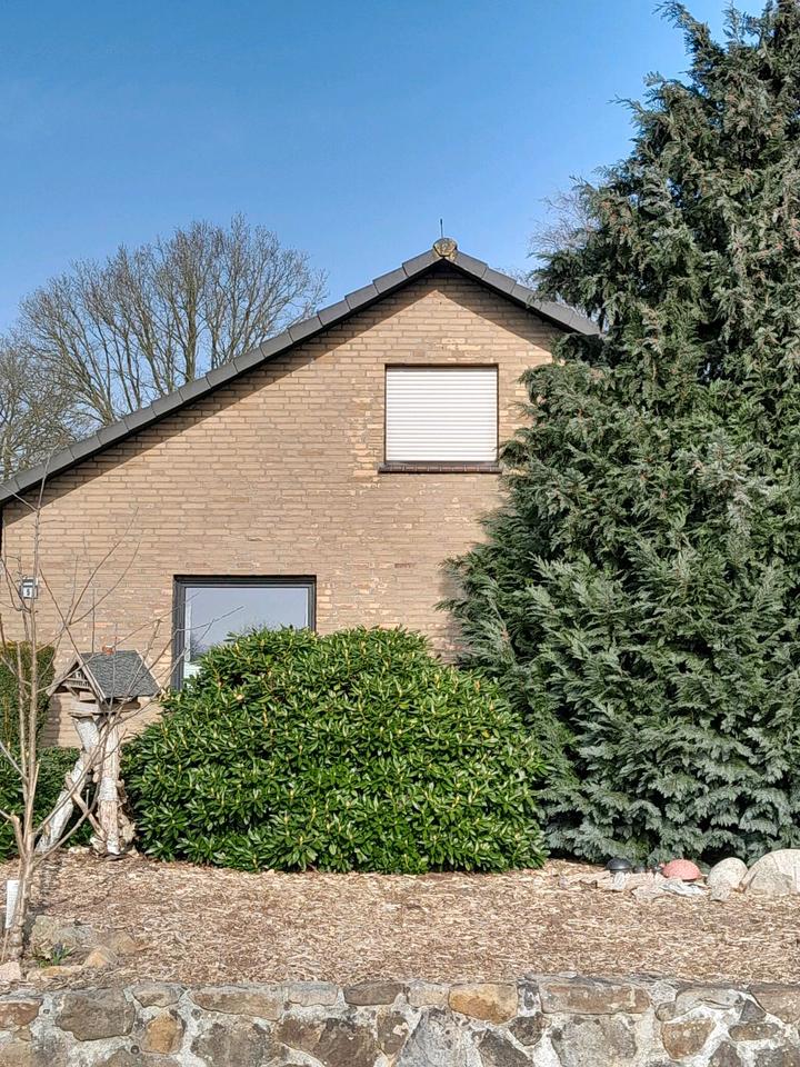 Thumbnail-Einfamilienhaus