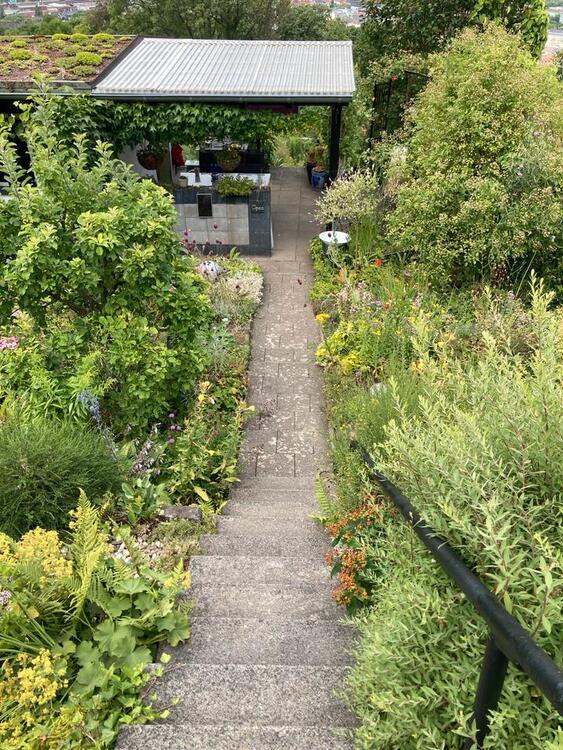 Thumbnail-Kleingarten Schrebergarten Hagen