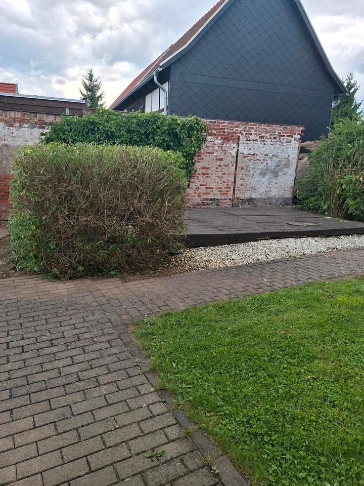 Thumbnail-Wohnung zu vermieten in Bleicherode Wipperdorf