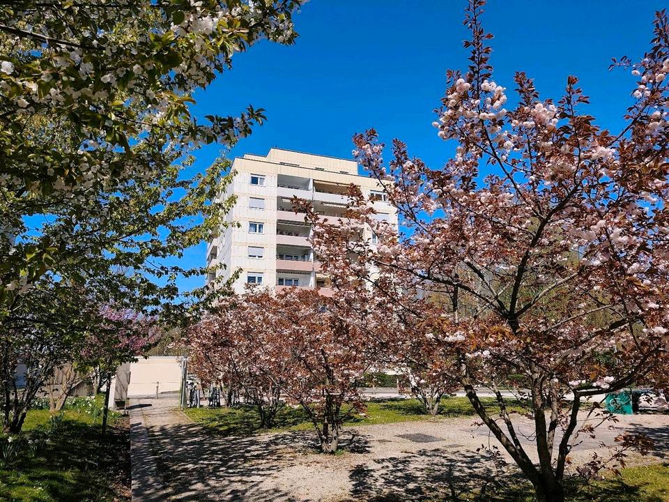 Thumbnail-1 Zimmer Wohnung zu verkaufen