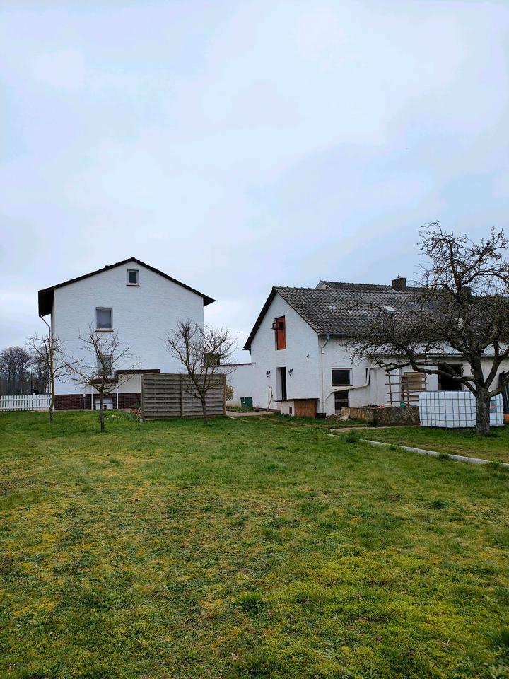 Thumbnail-Freistehendes Einfamilienhaus von privat