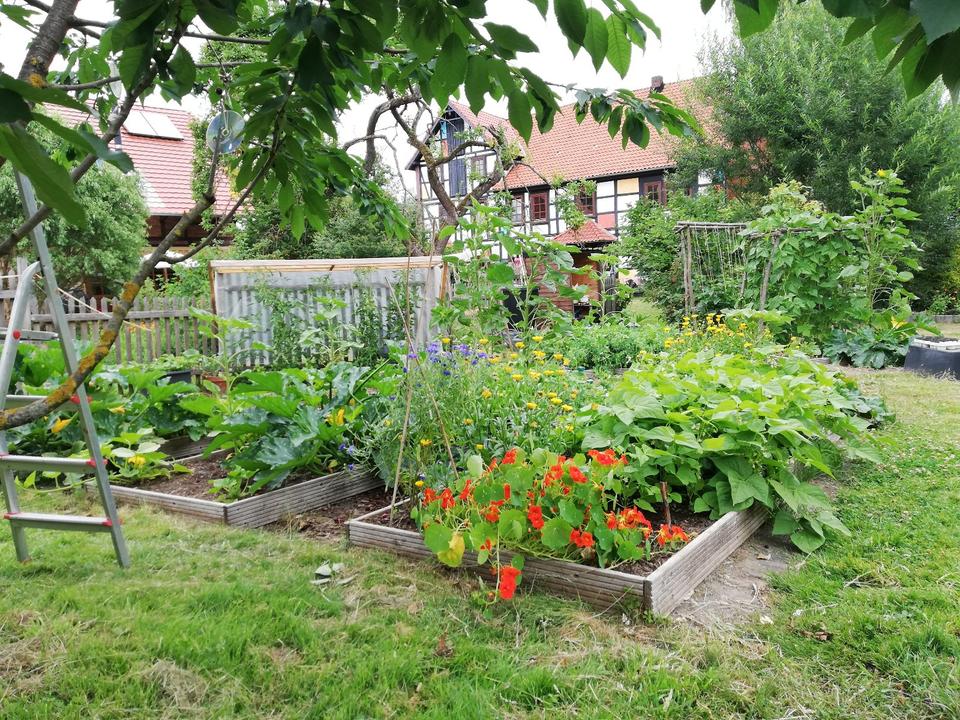 Thumbnail-Große, sonnige Wohnung in ehemaliger Mühle
