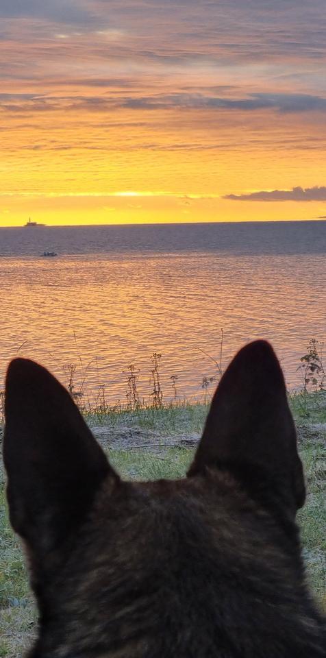 Thumbnail-Ferienhaus, ländlich gelegen