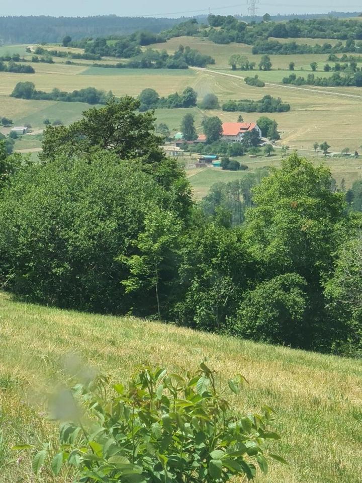 Thumbnail-4-Zimmer Wohnung per 1.1.26