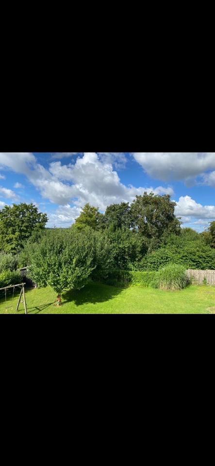 Thumbnail-Ruhige zwei Zimmerwohnung mit Balkon in Ehmen