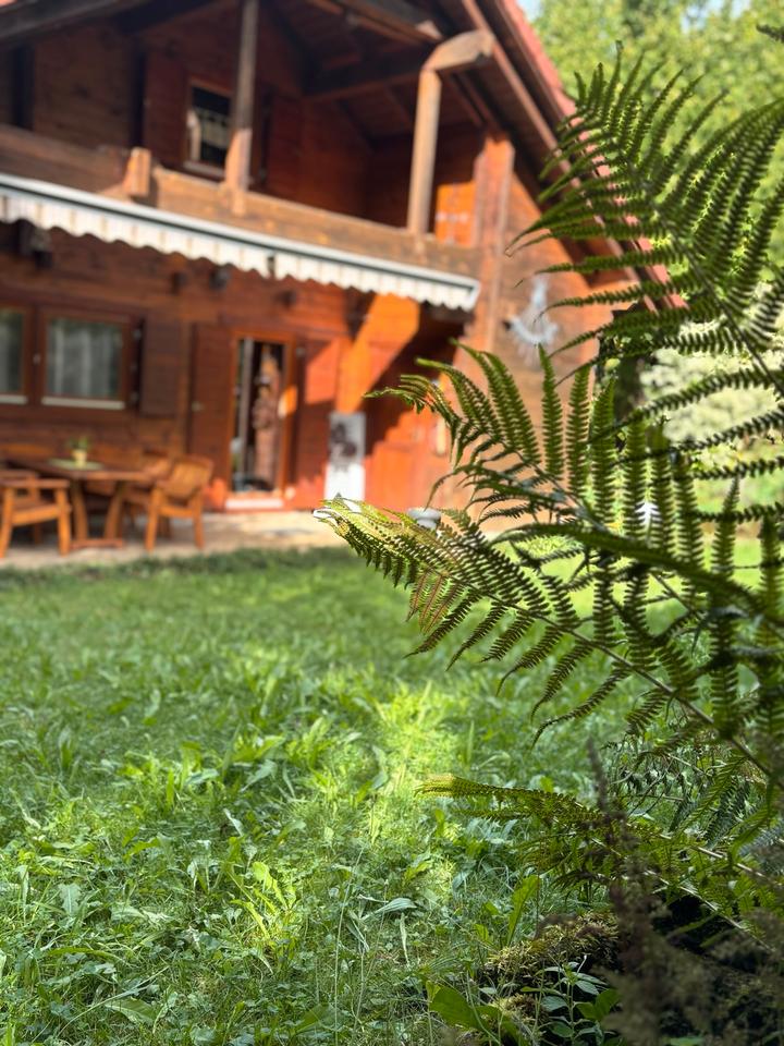 Thumbnail-Ferienhaus, Urlaub im Holzhaus, auf dem Land, Bayern