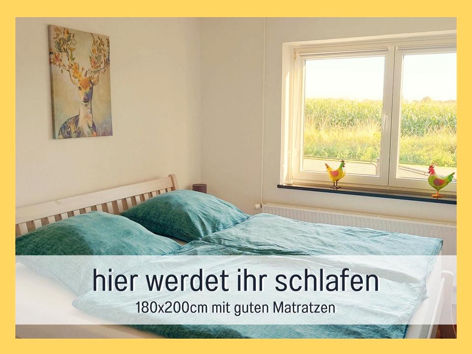 Thumbnail-Ferienwohnung an der Ostsee Urlaub für Familien und Paare