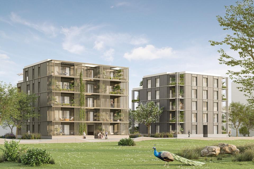 Thumbnail-Neubau 2-Zi.-Mietwohnung am Spinelli Park für 1 Person Mannheim