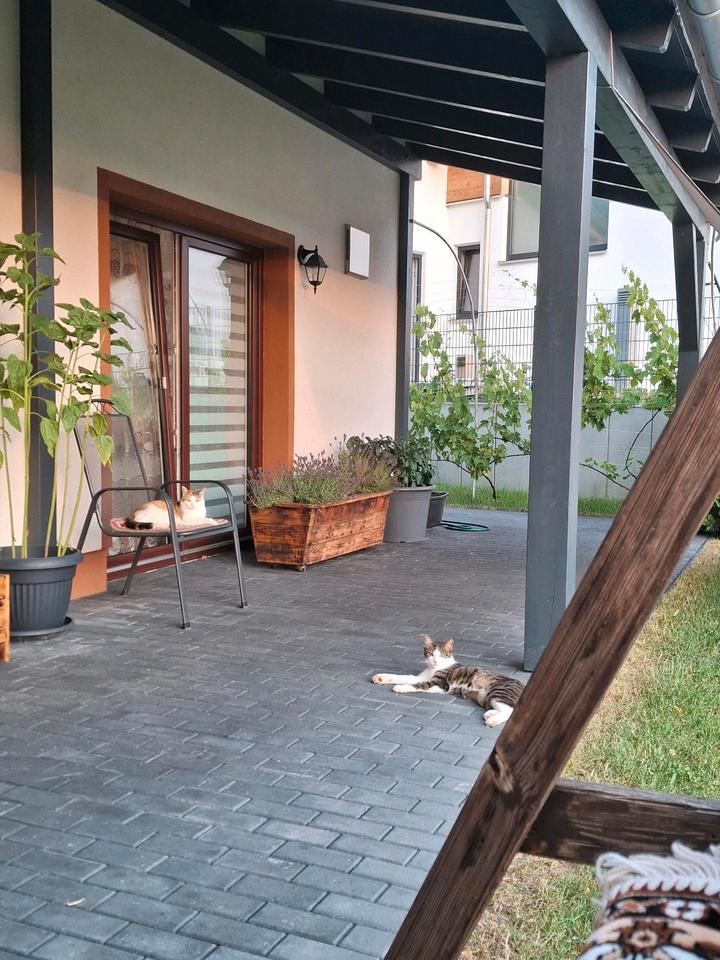 Thumbnail-Einfamilienhaus , mit Einliegerwohnung