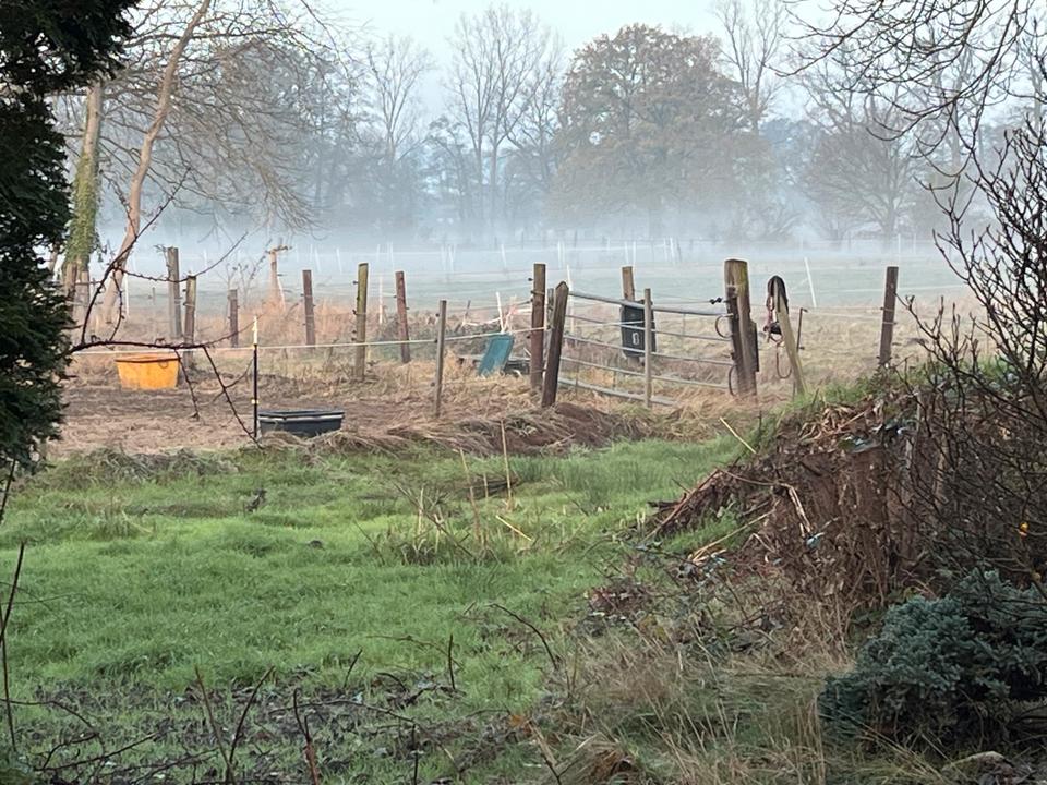 Thumbnail-Großzügige 3 Zimmer Dachgeschosswohnung Engelbostel, Schulenburg