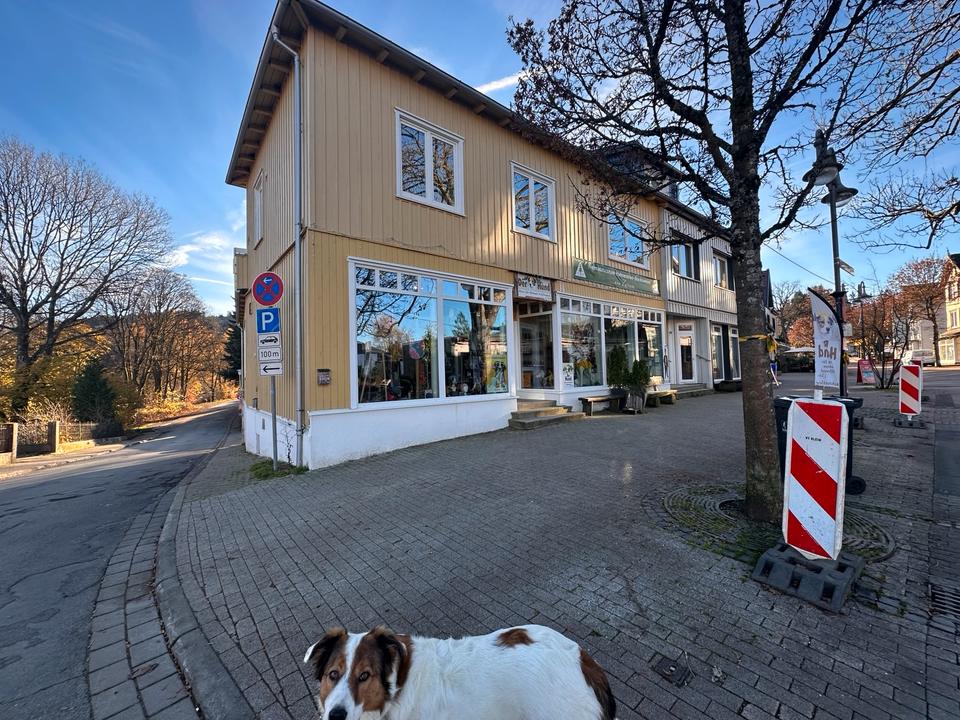 Thumbnail-Wohn- und Geschäftshaus in Hahnenklee