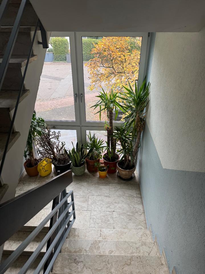 Thumbnail-Schönes 1ZKB-Souterrain-Appartement in MZ Bretzenheim Uninähe