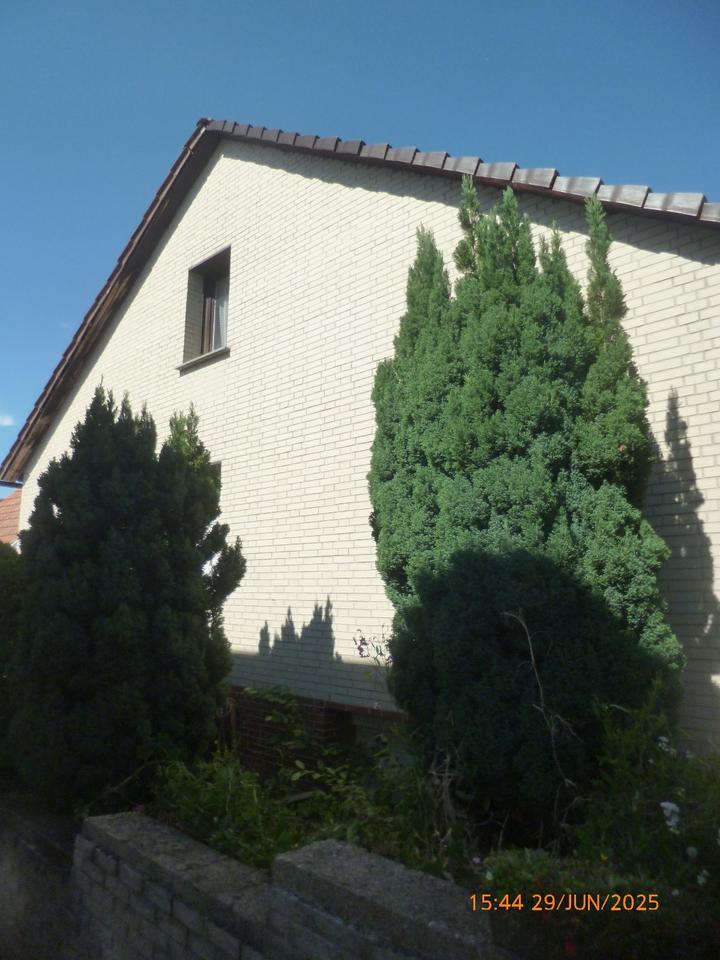 Thumbnail-Einfamilienhaus in Bad Dürkheimer Ortsteil zu verkaufen