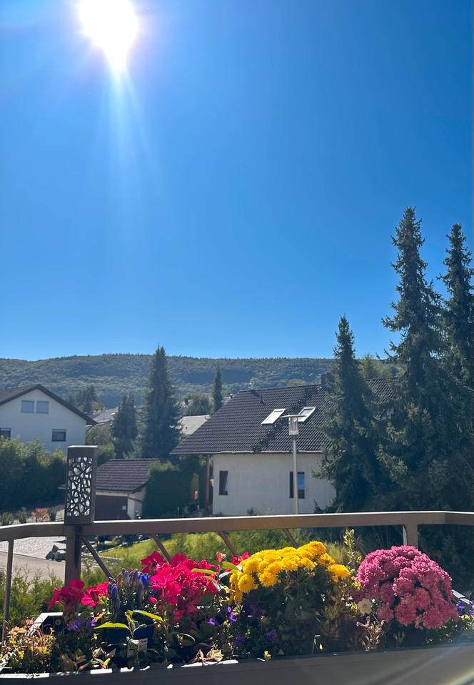 Thumbnail-Helle 3,5-Zimmer-Wohnung mit Balkon in Geisingen-Gutmadingen