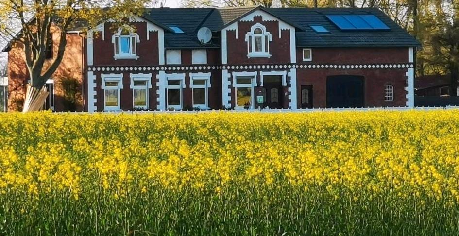 Thumbnail-Privatverkauf! Dithmarscher Bauernhaus,Hausweide, Tierhaltung