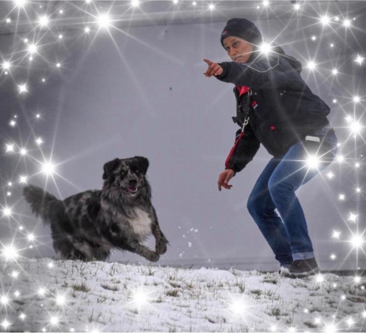 Thumbnail-Wohnungsgesuch