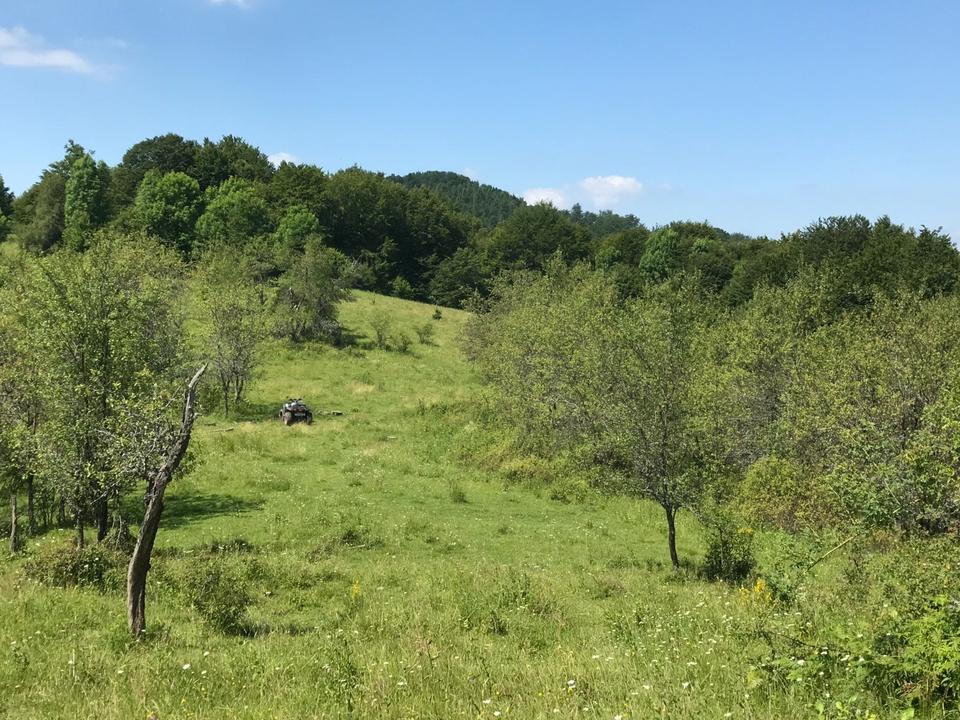 Thumbnail-vermiete traumhaftes Grundstück in Rumänien