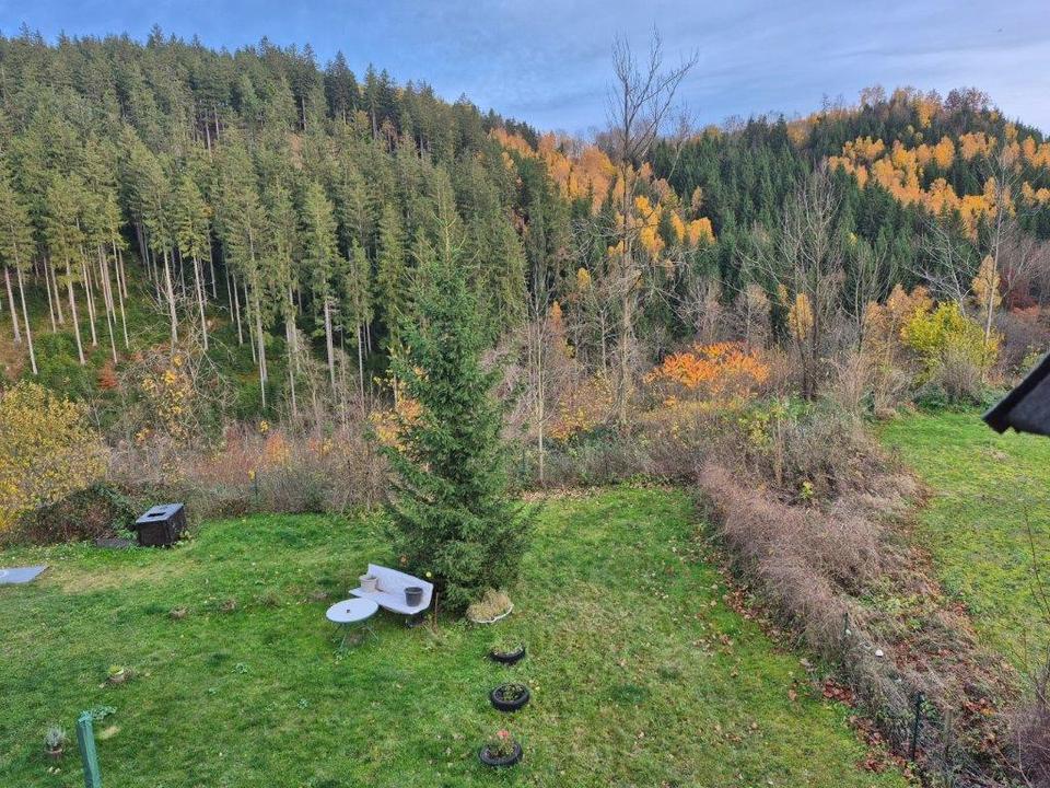 Thumbnail-Wohnung in Finsterbergen zu vermieten