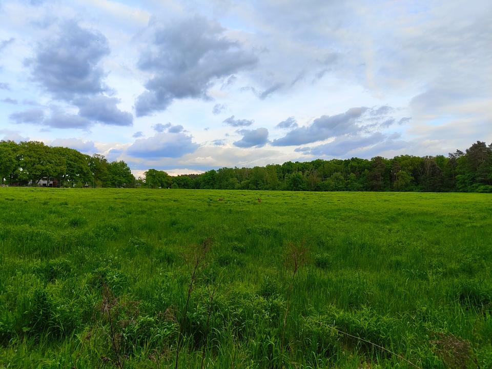 Thumbnail-Haus | großes Grundstück