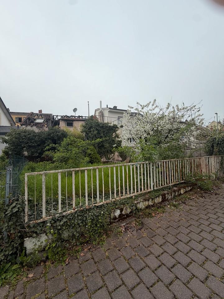 Thumbnail-Grundstück in Geisenheim