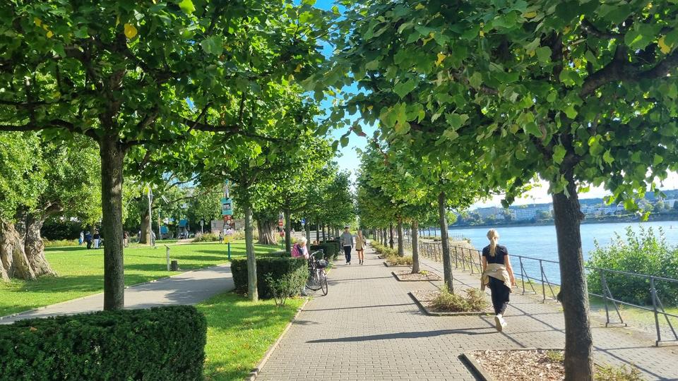 Thumbnail-Mega Lage! Helle 3 Zimmer Wohnung (74qm) + Balkon+Garage in Beuel