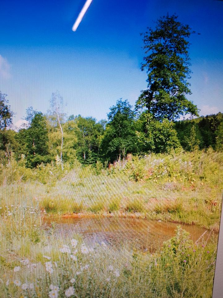 Thumbnail-Wohnung in Nalbach