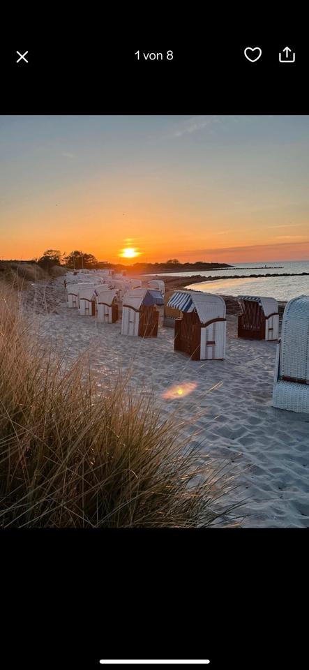 Thumbnail-Apartment mit Ostseeblick direkt am Meer