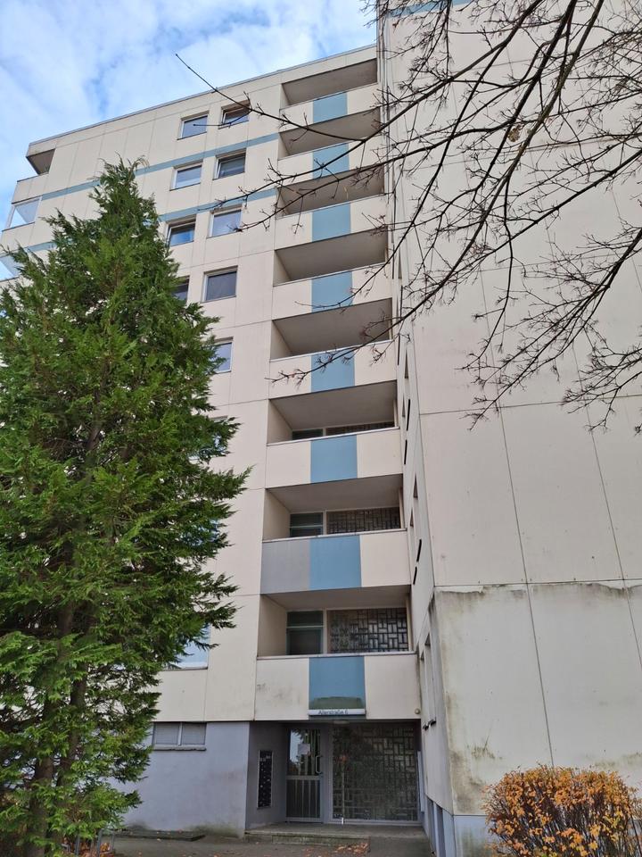 Thumbnail-3 ZKB Wohnung auf Eigentumsgrundstück stadtnah und doch im Grünen