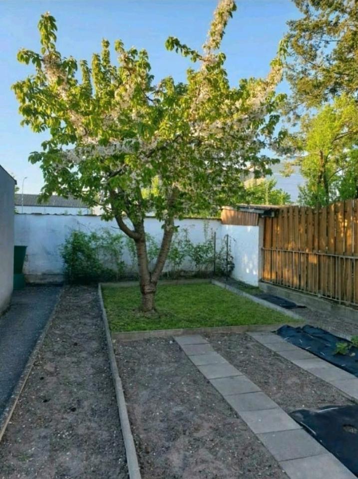 Thumbnail-3 ZKB Erdgeschosswohnung mit Garten Nähe Audi PROVISIONSFREI