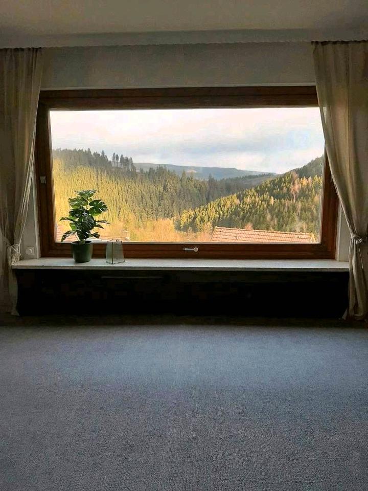 Thumbnail-Ferienwohnung mit Bergblick, 72qm, im Oberharz, ruhige Lage ab