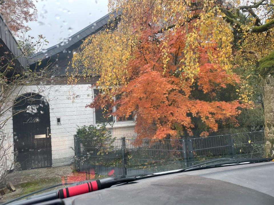 Thumbnail-Bungalow mit Einliegerwohnung in Nienhagen bei Hannover