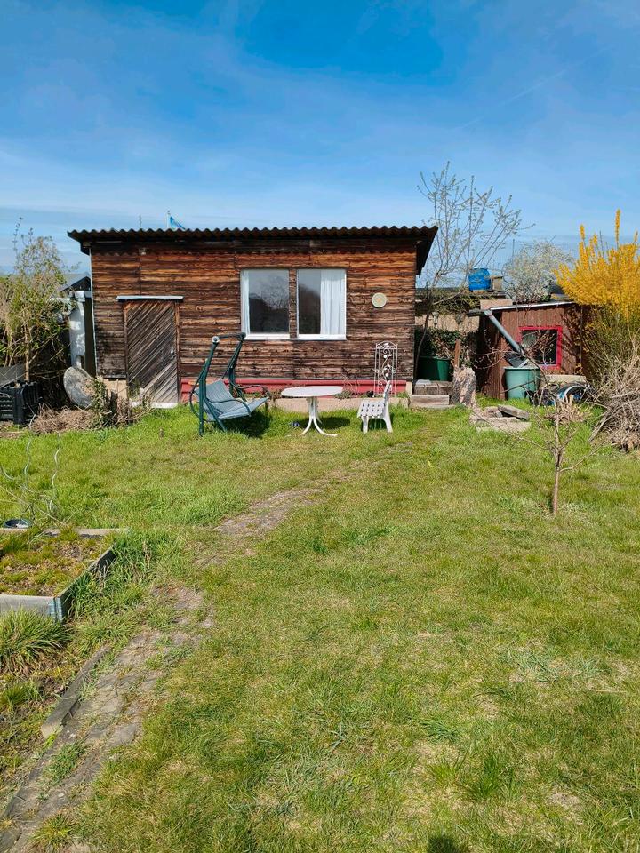 Thumbnail-Kleingarten abzugeben 180m2