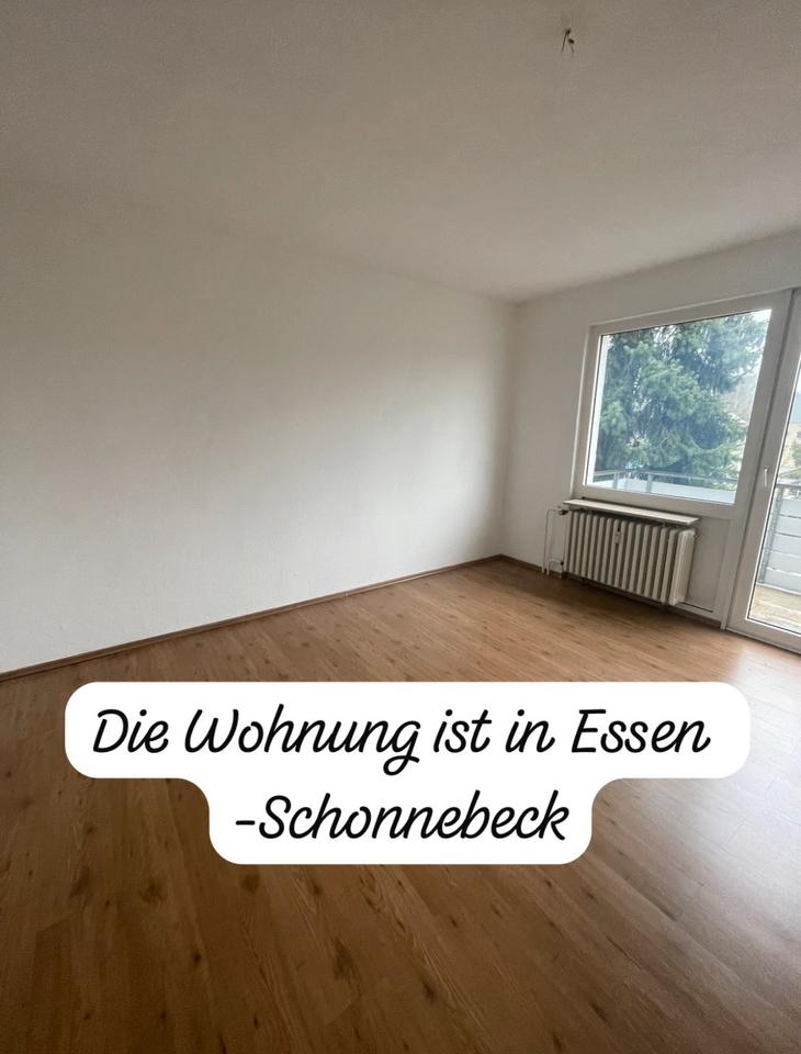 Thumbnail-Sehr schöne 2 Zim. Wohnung in Essen Schonnebeck
