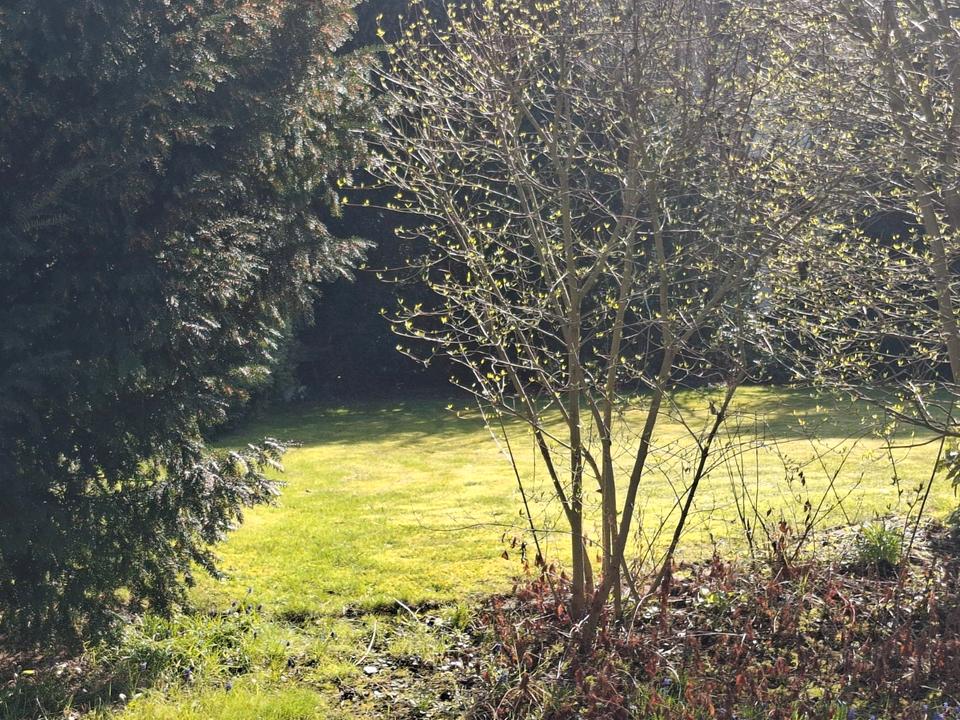 Thumbnail-Einfamilienhaus in Wevelinghoven für Handwerker