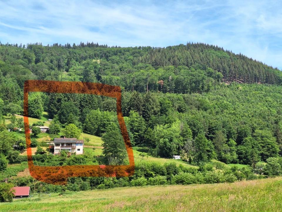 Thumbnail-Haus mit tollem Grundstück am Rande von Ettenheimmünster