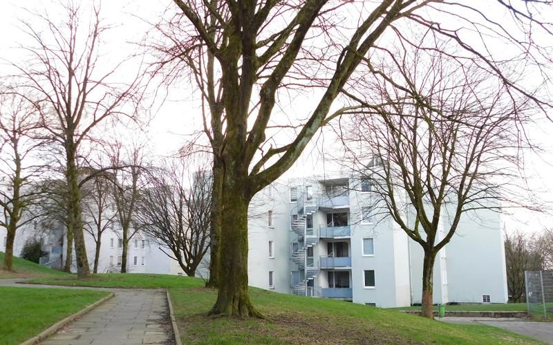 Thumbnail-Gemütliche 3-Zi.-Whg. in Vohwinkel