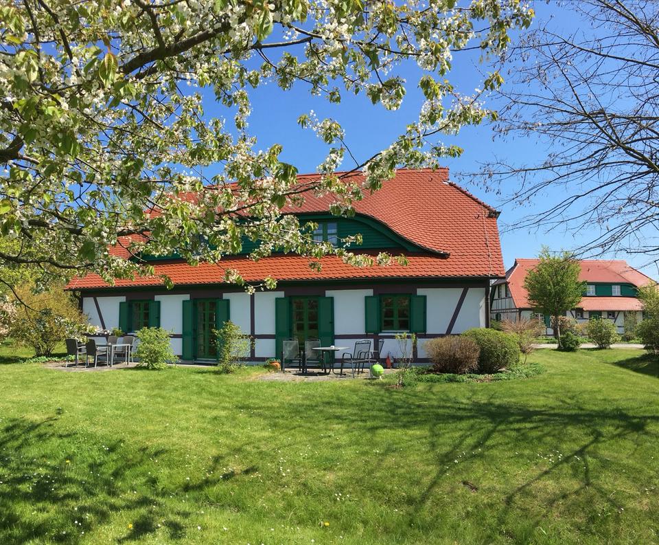 Thumbnail-Rügen oder Fehmarn ❤️ ? Urlaub zu Ostern an der Ostsee