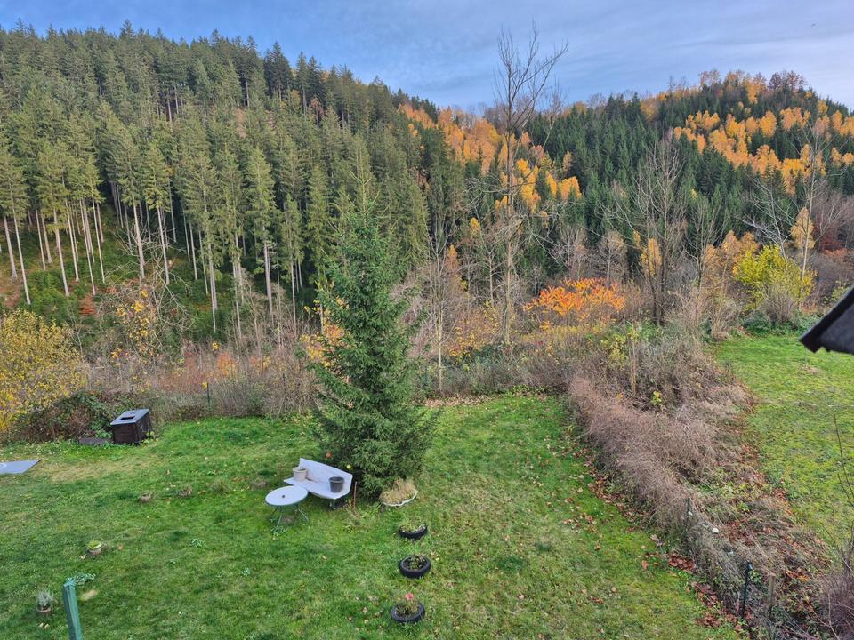 Thumbnail-Wohnung in Finsterbergen zu vermieten