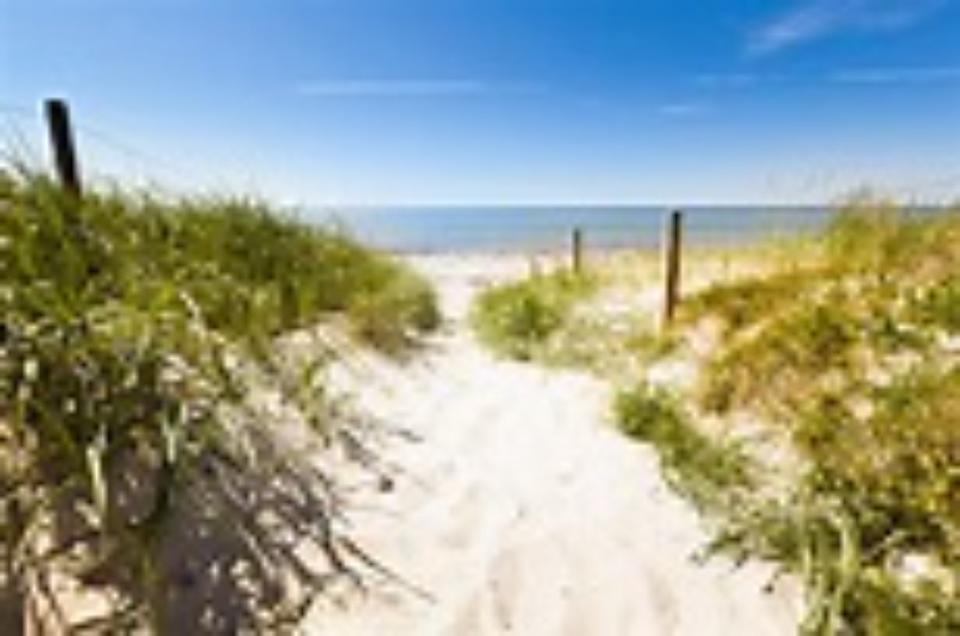 Thumbnail-Ferienwohnung Ostseebad Kühlungsborn mit Hund und Katz 14.-18.08.