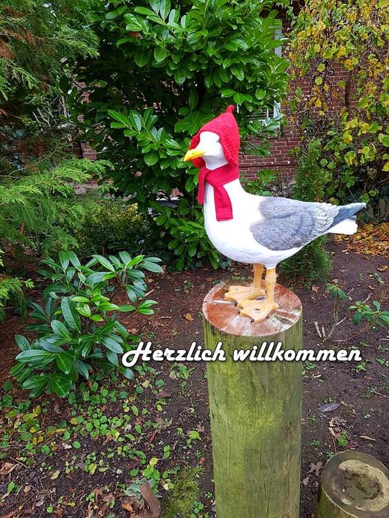 Thumbnail-Top Ferienwohnung