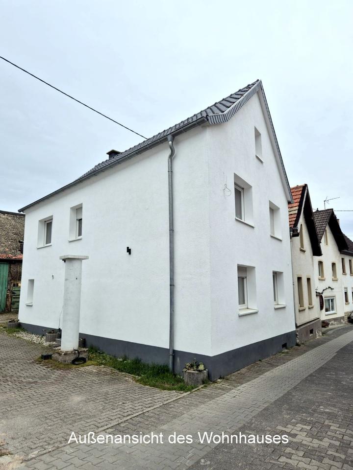 Thumbnail-Großes Anwesen: Wohnhaus mit Baugrundstück.