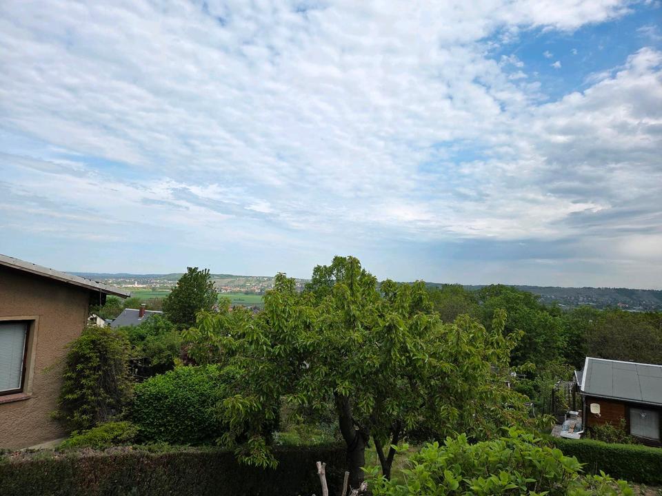 Thumbnail-Kleingarten