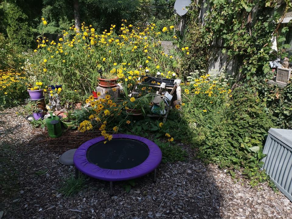 Thumbnail-Wohnen im Grünen bei Dresden: Einfamilienhaus in Radeburg