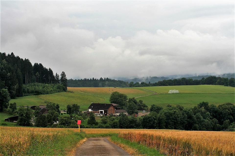 Thumbnail-Landwirtschaftliches Anwesen - Pferdepension